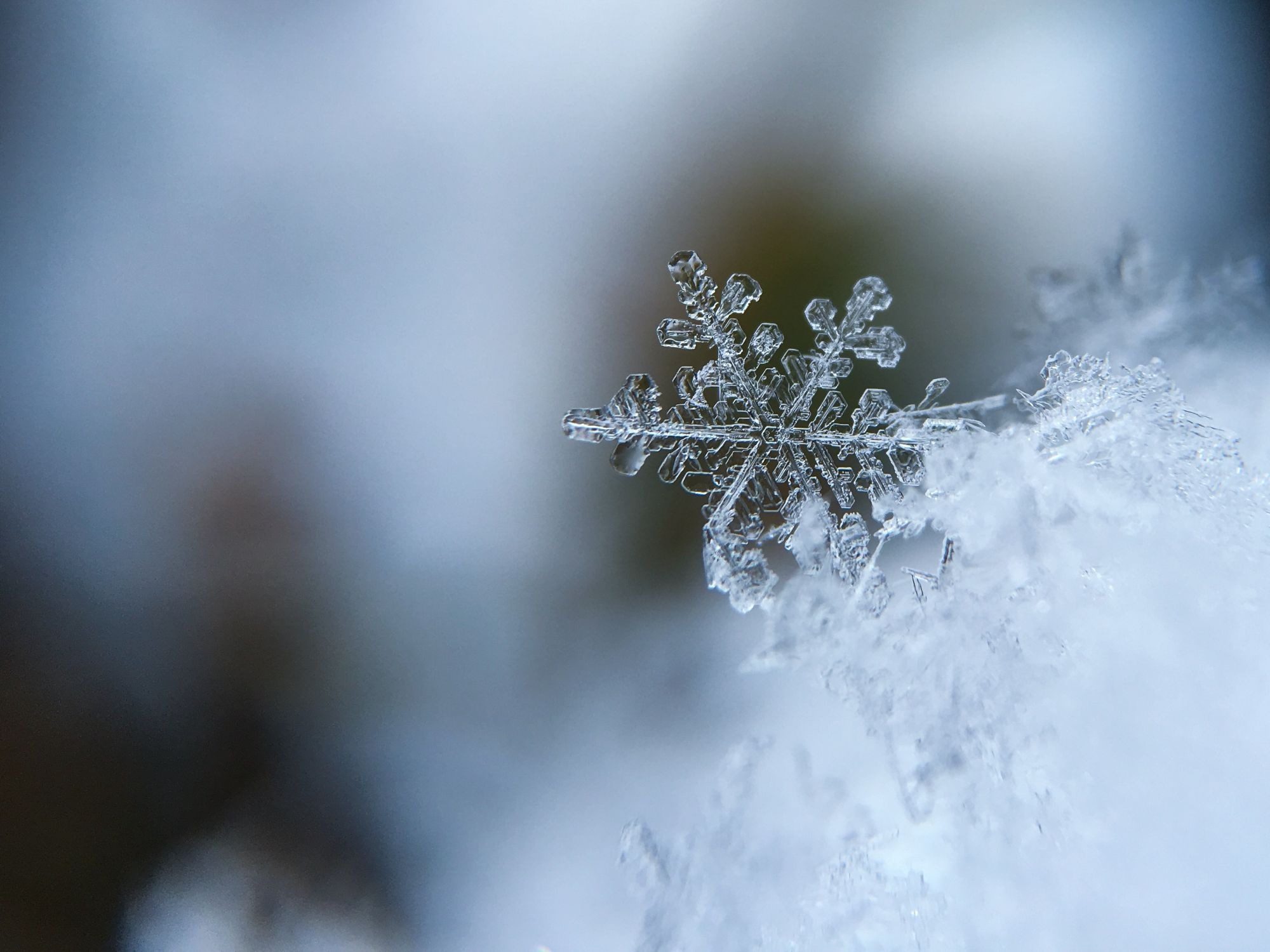 L'ABBATTIMENTO DELLA TEMPERATURA